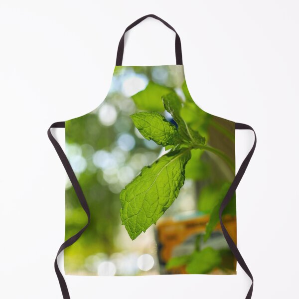 Item preview, Fresh Basil in Natural Light – Kitchen Herb Photography designed and sold by MarcVan.