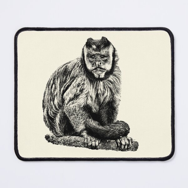 Item preview, Tufted Capuchin designed and sold by Guardi71.