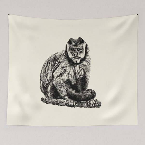 Item preview, Tufted Capuchin designed and sold by Guardi71.