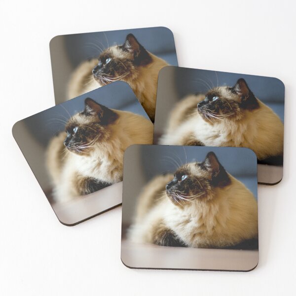 Item preview, Relaxed Ragdoll Cat on Floor – Riccardo designed and sold by MarcVan.