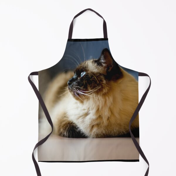 Item preview, Relaxed Ragdoll Cat on Floor – Riccardo designed and sold by MarcVan.