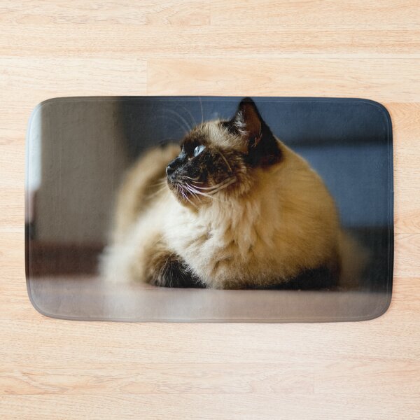 Item preview, Relaxed Ragdoll Cat on Floor – Riccardo designed and sold by MarcVan.