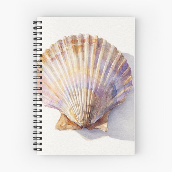 Item preview, Watercolor seashell designed and sold by MendaciousMina.