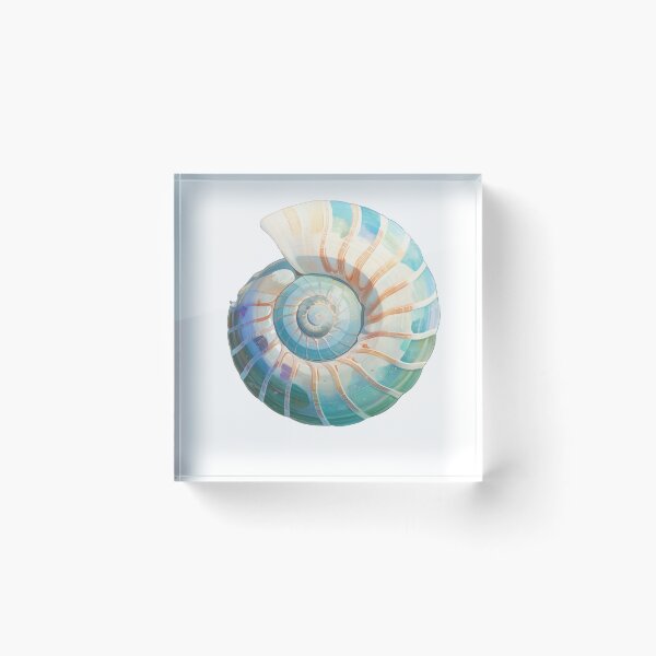 Item preview, Seashell designed and sold by MendaciousMina.