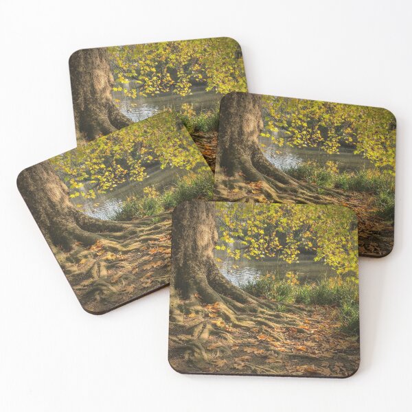Item preview, Autumn Tree at Hampden Park Pond designed and sold by karenadams.