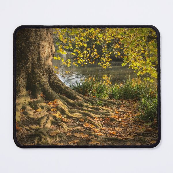 Item preview, Autumn Tree at Hampden Park Pond designed and sold by karenadams.