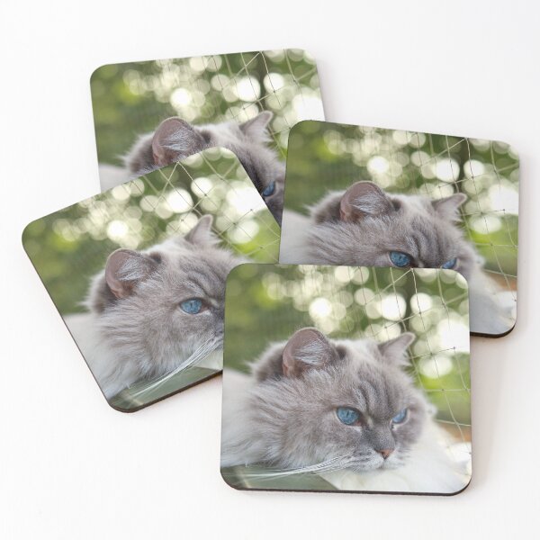Item preview, Ragdoll Cat Resting Outdoors designed and sold by MarcVan.