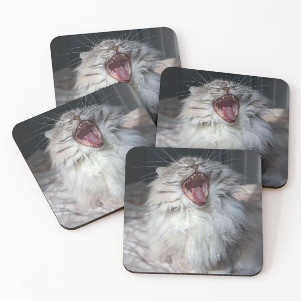 Item preview, A Little Lion – Ragdoll Cat Yawning designed and sold by MarcVan.