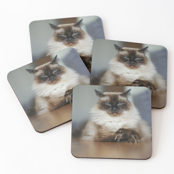 Item preview, Serious Ragdoll Cat Portrait designed and sold by MarcVan.