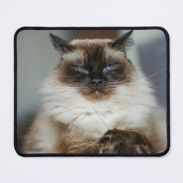 Item preview, Serious Ragdoll Cat Portrait designed and sold by MarcVan.