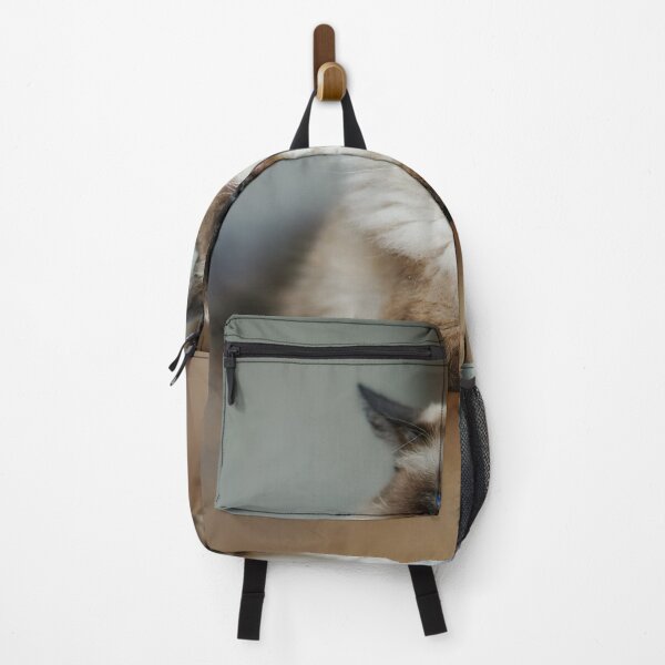 Item preview, Serious Ragdoll Cat Portrait designed and sold by MarcVan.