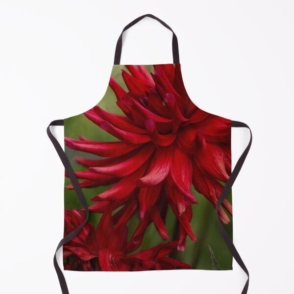 Item preview, Red Dahlia Flower Close-Up designed and sold by MarcVan.