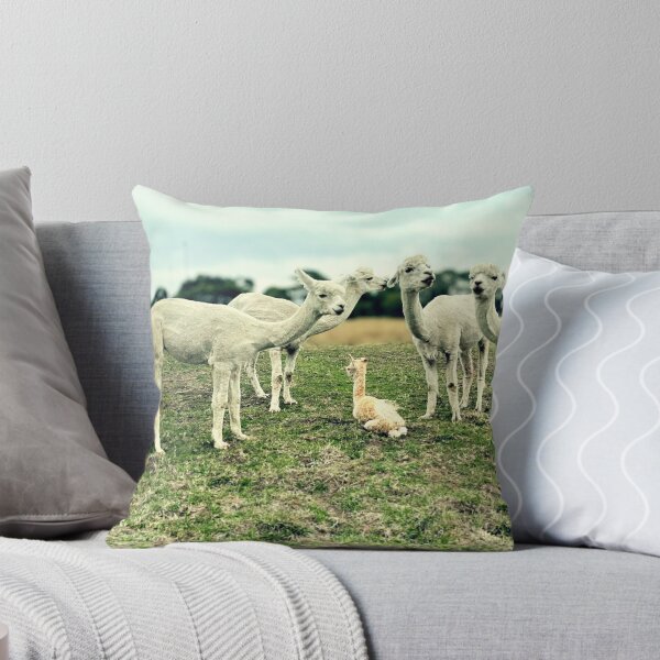 Item preview, Momentos de la familia Alpaca | Alpacas dan la bienvenida a la nueva cría designed and sold by Ishtar Park Equine Shop.
