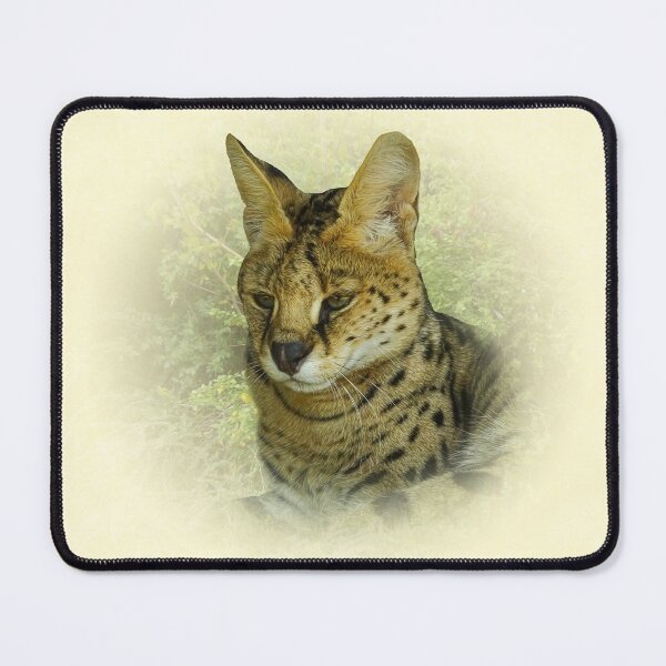 Item preview, Serval designed and sold by Guardi71.