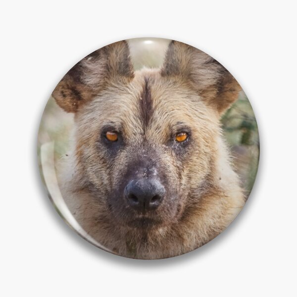 Item preview, Wild Face of a Dog designed and sold by Owed To Nature.