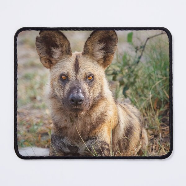 Item preview, Wild Face of a Dog designed and sold by Owed To Nature.