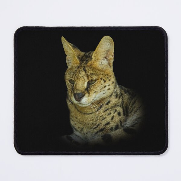 Item preview, Serval designed and sold by Guardi71.