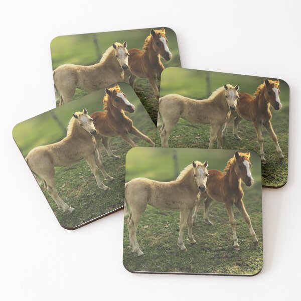Item preview, Pretty Pair of Foals - Matilda and Tigerlily - Welsh Ponies designed and sold by Ishtar Park Equine Shop.
