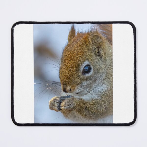 Item preview, American red squirrel designed and sold by Shannon Emmel .