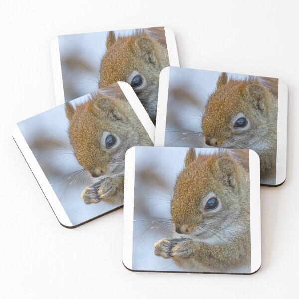 Item preview, American red squirrel  designed and sold by Shannon Emmel .