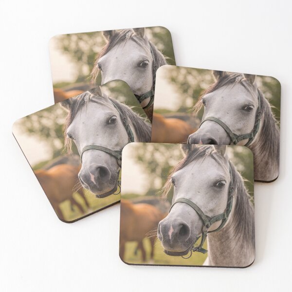 Item preview, Close-Up of Arabian Horse – Soulful Eyes and Gentle Strength designed and sold by MarcVan.