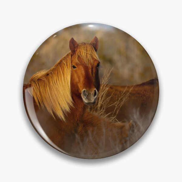 Item preview, Wild ponies of Assateague  designed and sold by Shannon Emmel .