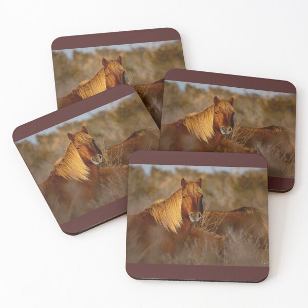 Item preview, Wild ponies of Assateague  designed and sold by Shannon Emmel .