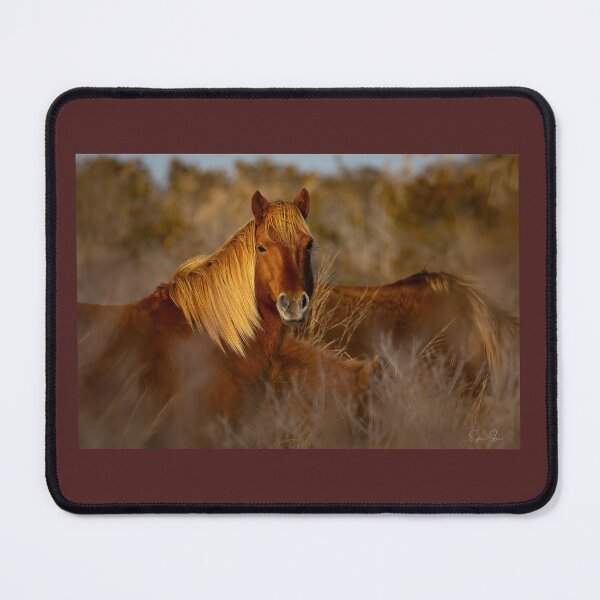 Item preview, Wild ponies of Assateague  designed and sold by Shannon Emmel .