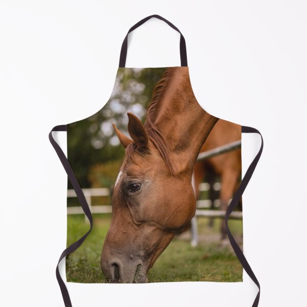 Item preview, Close-Up of Grazing Arabian Horse – Peaceful Pasture Portrait designed and sold by MarcVan.
