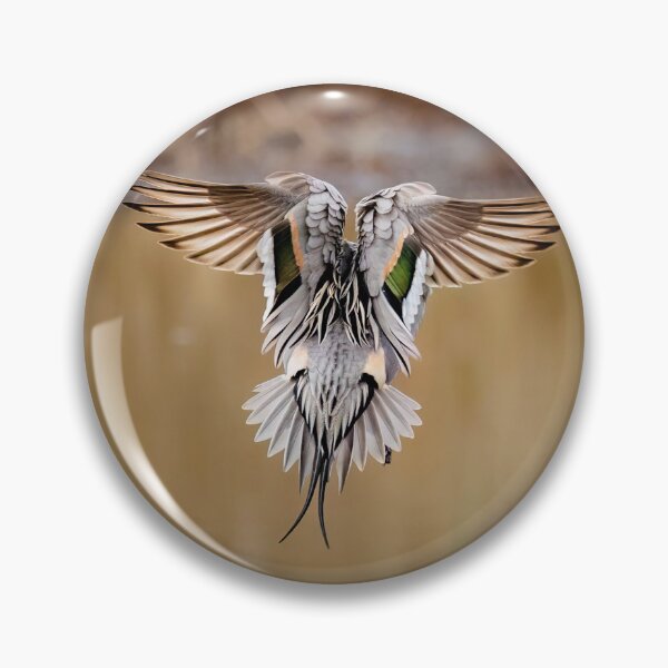 Item preview, Pintail Drake  designed and sold by Shannon Emmel .