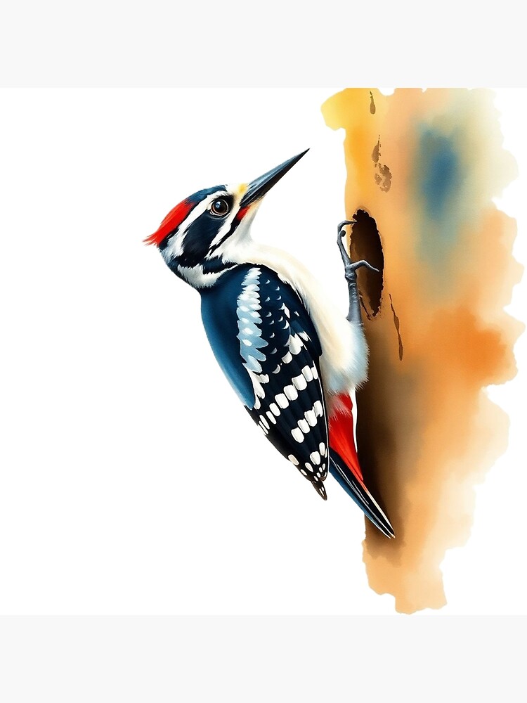 Peckerwood Art Prints for Sale | Redbubble