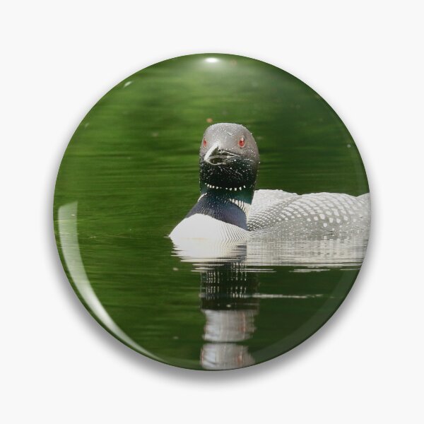 Item preview, Those Piercing Red Eyes of the Common Loon designed and sold by Chris Coates Photography.com.