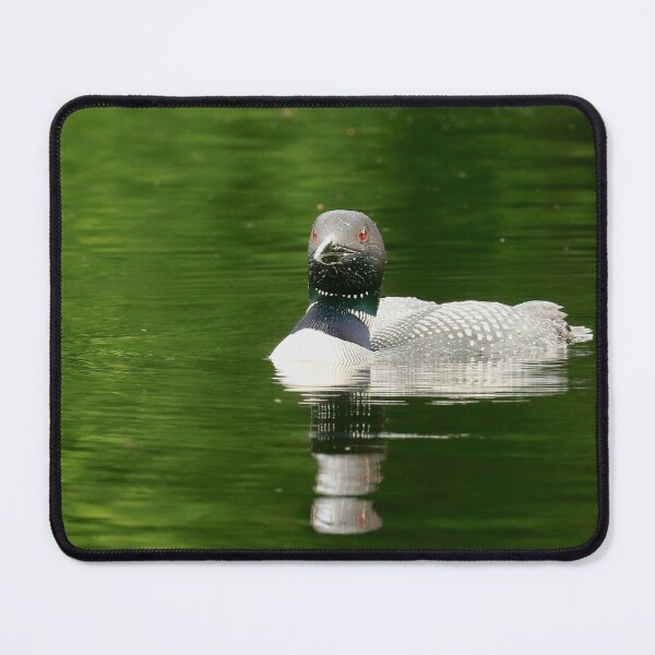 Item preview, Those Piercing Red Eyes of the Common Loon designed and sold by Chris Coates Photography.com.