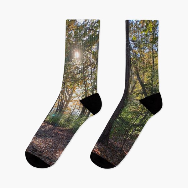 Item preview, Sun through the trees designed and sold by jimisimij.