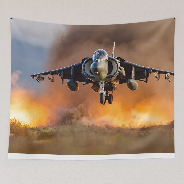 Item preview, Eternal Flame Harrier designed and sold by Skyframe Aviation.