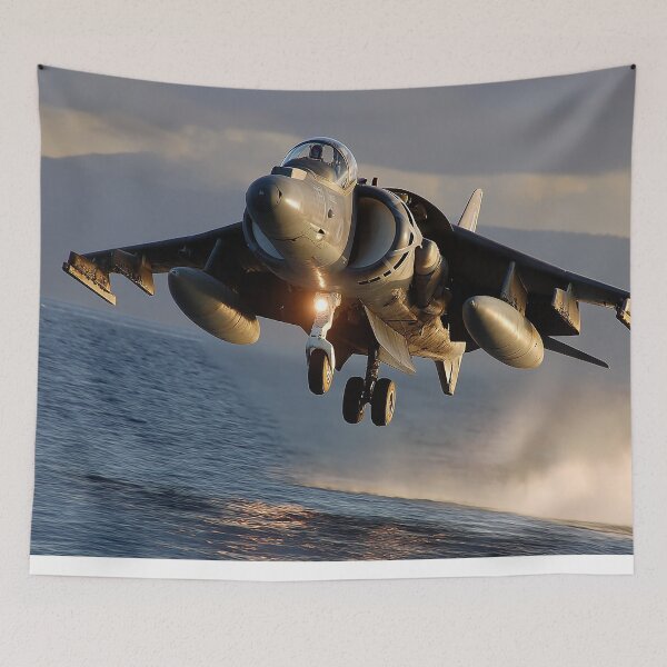 Item preview, Coastal Defender Harrier designed and sold by Skyframe Aviation.