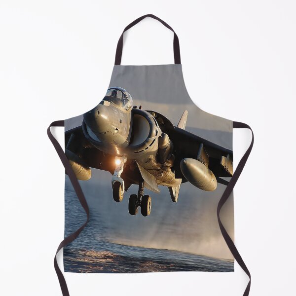 Item preview, Coastal Defender Harrier designed and sold by Skyframe Aviation.