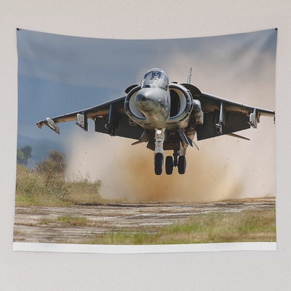 Item preview, Vertical Take-Off Harrier designed and sold by Skyframe Aviation.