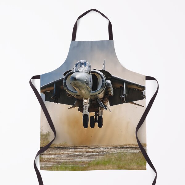 Item preview, Vertical Take-Off Harrier designed and sold by Skyframe Aviation.
