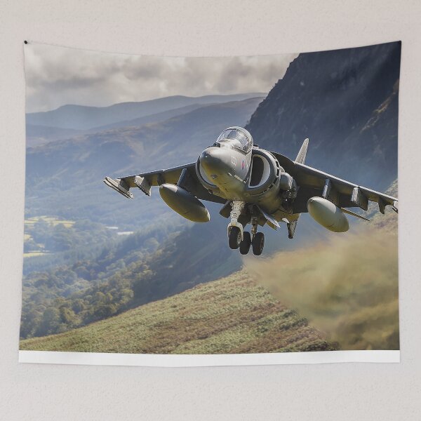 Item preview, Country Ops Harrier designed and sold by Skyframe Aviation.