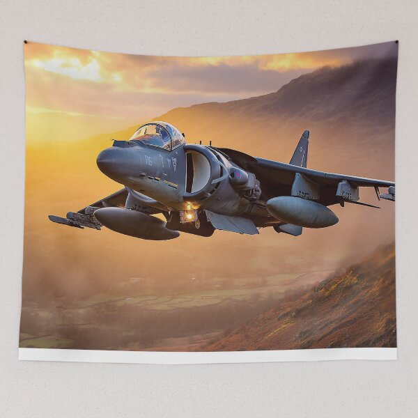 Item preview, Into The Heat Harrier designed and sold by Skyframe Aviation.