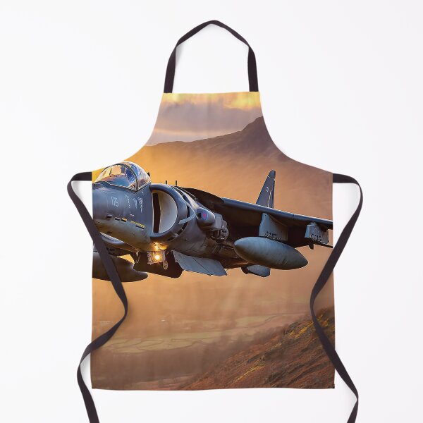 Item preview, Into The Heat Harrier designed and sold by Skyframe Aviation.