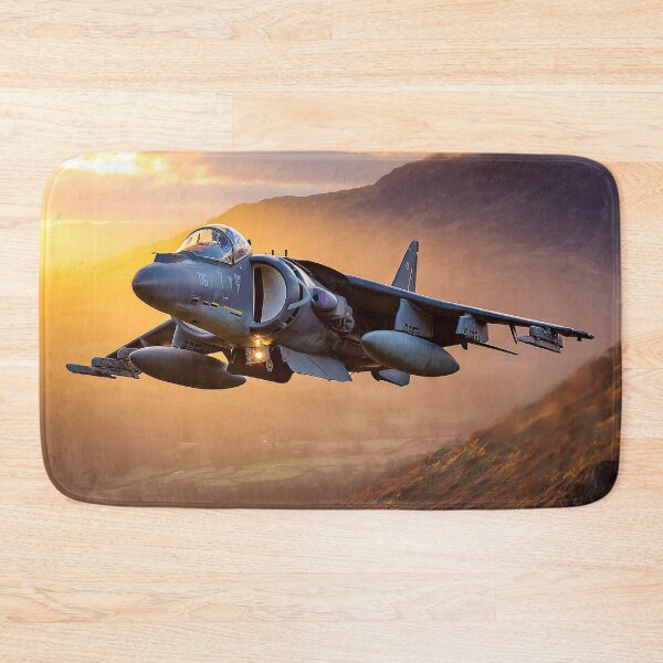 Item preview, Into The Heat Harrier designed and sold by Skyframe Aviation.