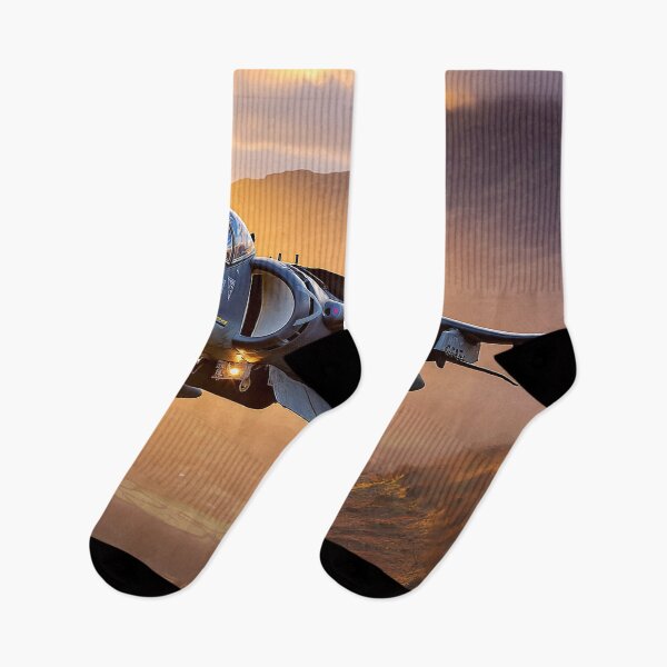 Item preview, Into The Heat Harrier designed and sold by Skyframe Aviation.