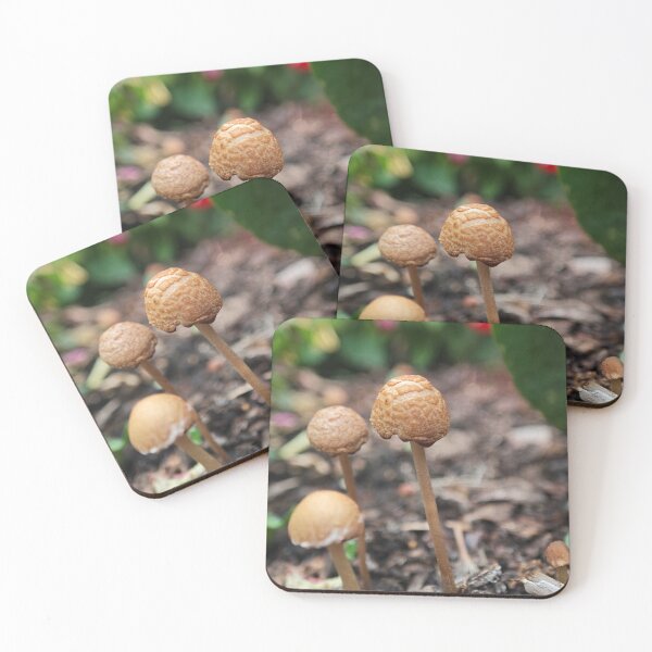 Item preview, Mushrooms! designed and sold by BornToBeWyld.