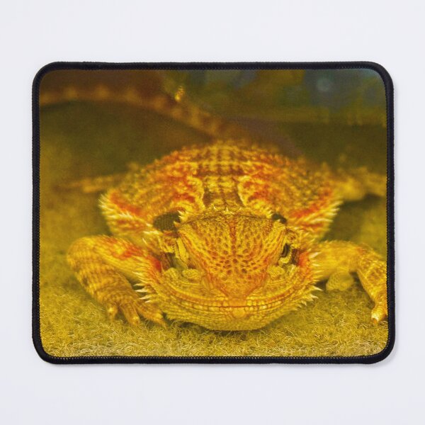 Item preview, Bearded Dragon 3 by ElitebyElise designed and sold by ElitebyElise.