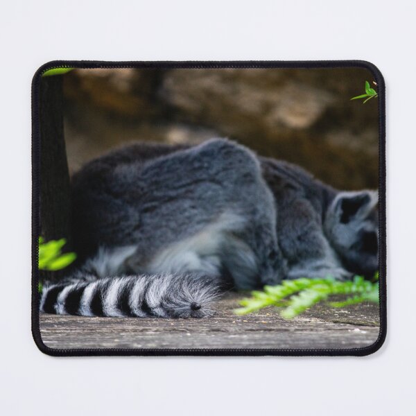 Item preview, Lemur designed and sold by IntrusiveThoughts.