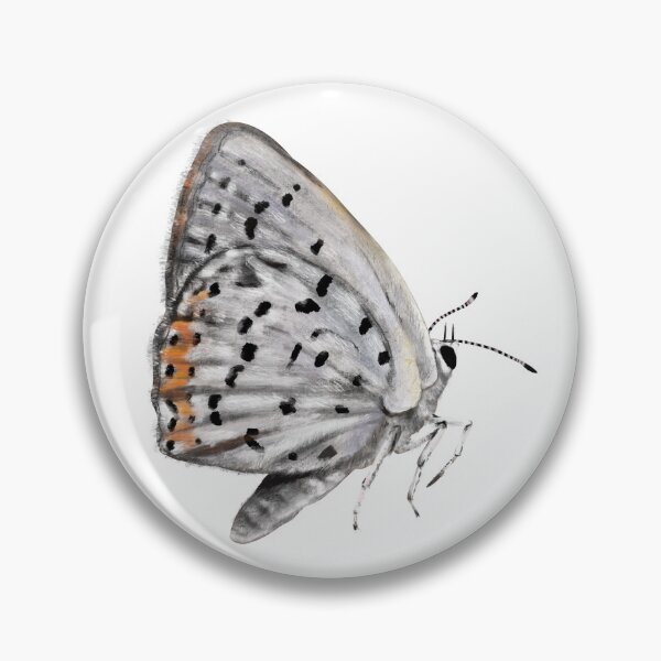 Item preview, Bronze Copper Butterfly designed and sold by Katie Morris Art.