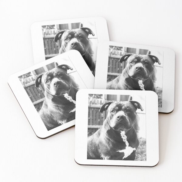 Item preview, American Xl bully designed and sold by Bully shop .