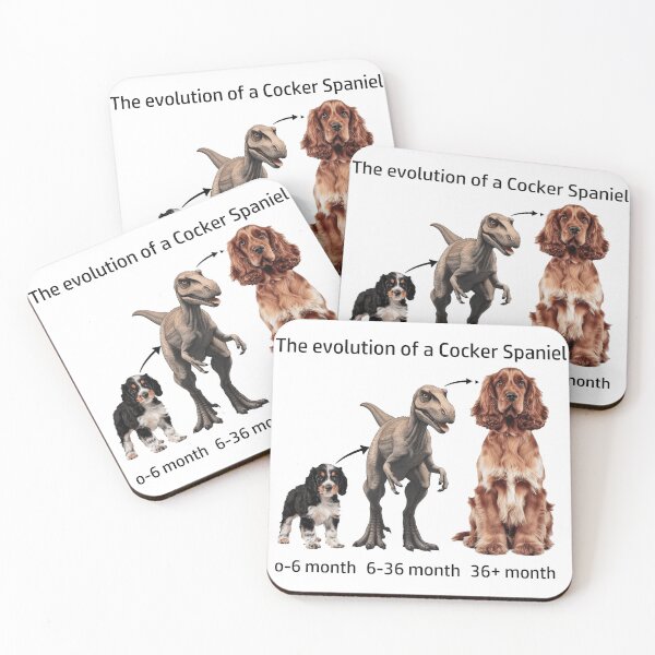 Item preview, The Evolution of a Cocker Spaniel designed and sold by Ranout.